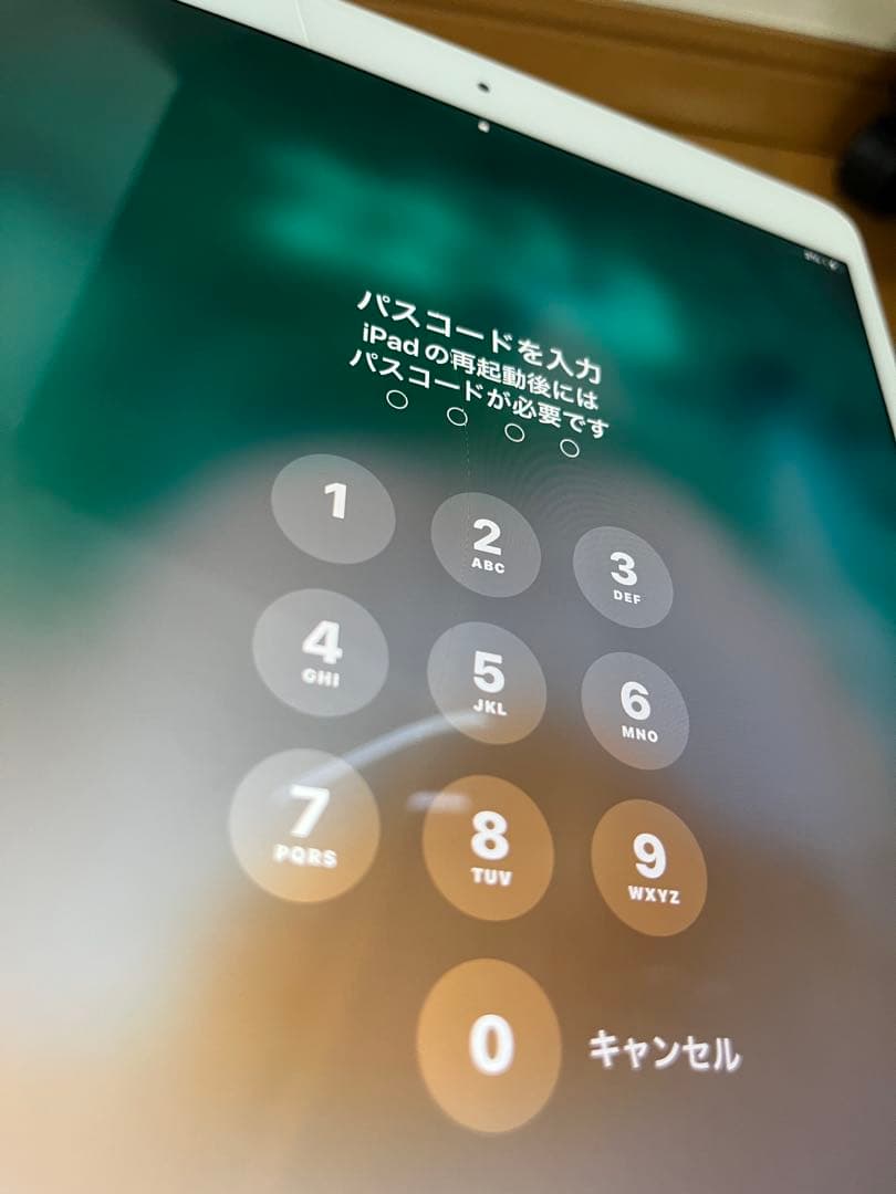 iPad Pro10.5インチ 256GB バッテリー劣化あり ※ジャンク扱い